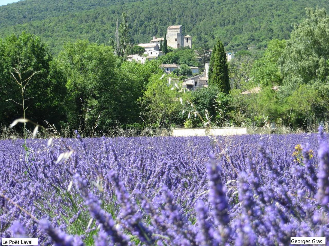 Вілла Le Mas Des Restanques Au Poet Laval Le Poet-Laval Екстер'єр фото